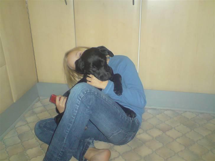 Blanding af racer bibi lige blvet solgt :`( - mig og min gamle ejer:( billede 20