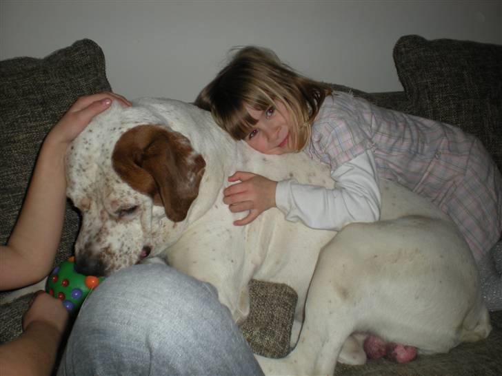 Blanding af racer Dmitri - sovedyret :) billede 18