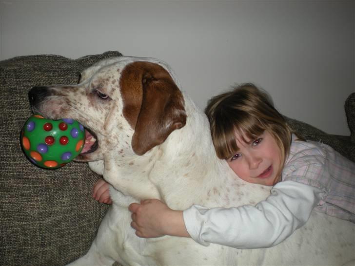 Blanding af racer Dmitri - vi ligger lige og putter lidt :) billede 20