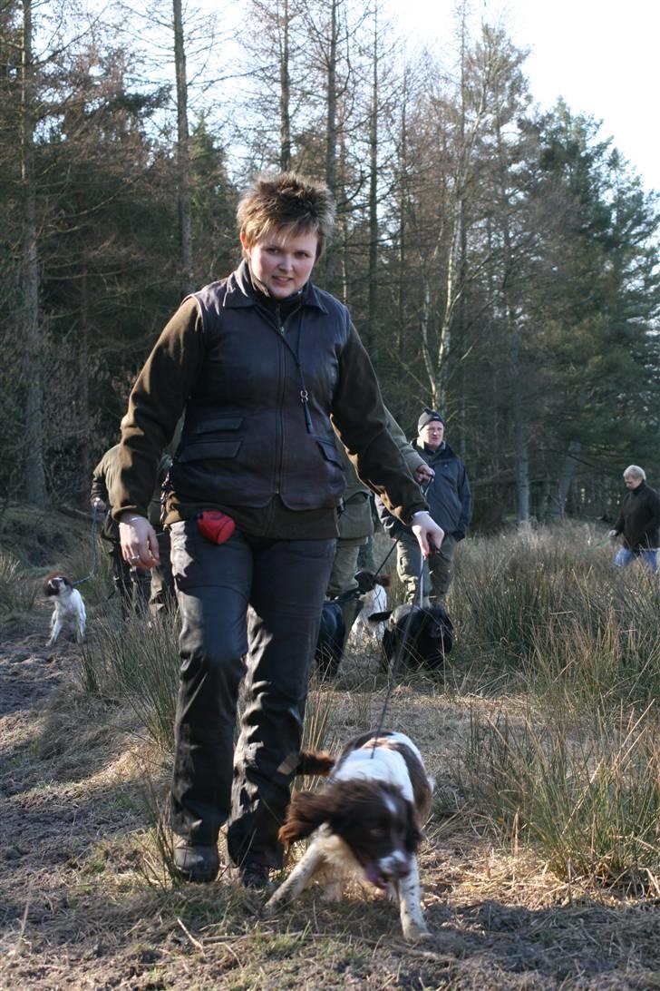 Field Trial spaniel Frida billede 8