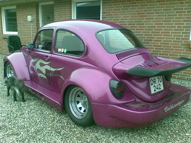 Blanding af racer mulle - vagthund ved bilen   så hold fingerne væk billede 2