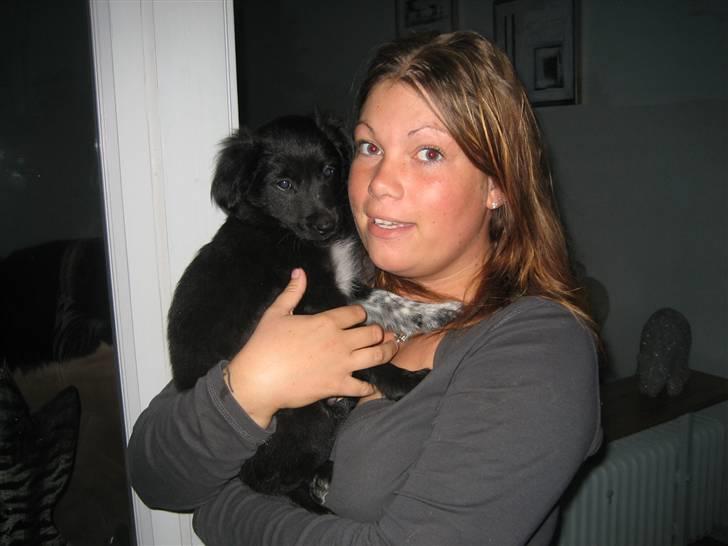 Blanding af racer Micko - 1. dag i mit nye hjem og hos min nye mor... billede 2