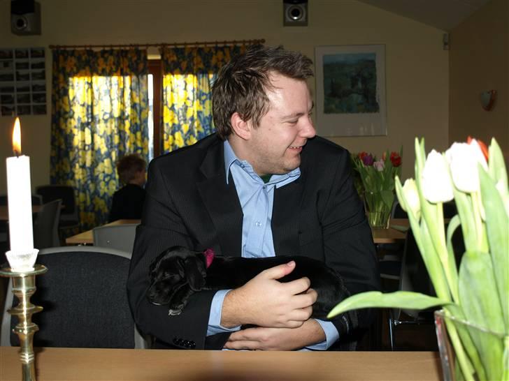 Blanding af racer Enya - trykhed i sin fars arme er nu alligevel det bedste... billede 2