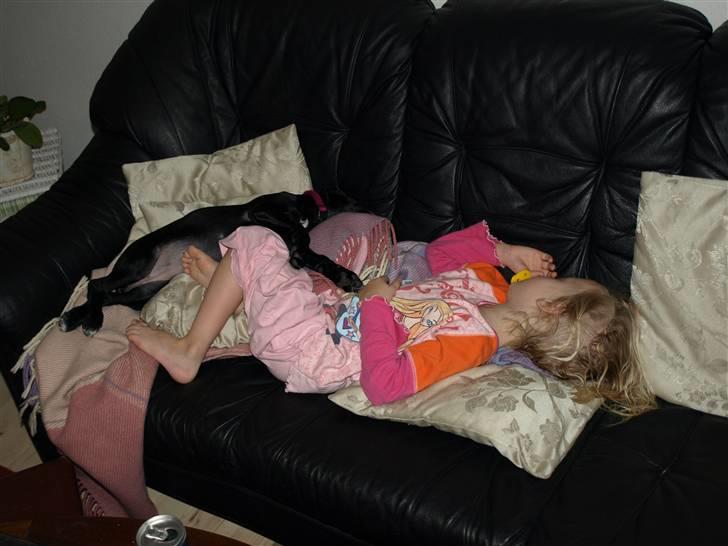 Blanding af racer Enya - Et meget typisk billed af Enya... Helst helt tæt på hendes nærmeste... billede 8