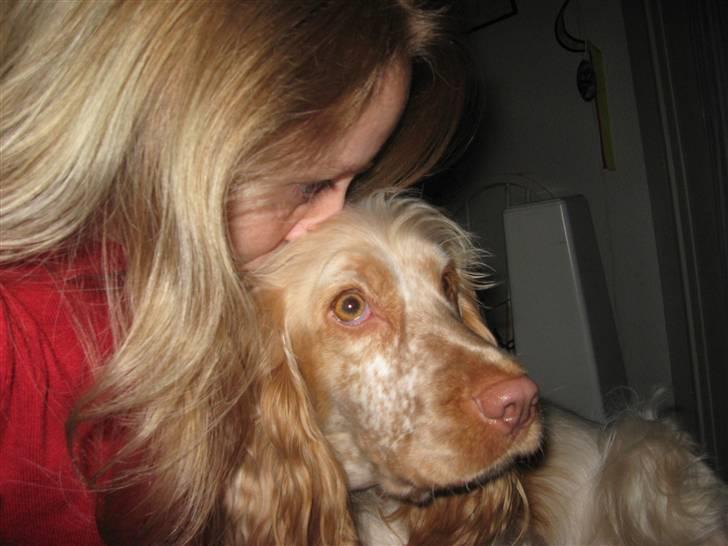 Cocker spaniel Freja r.i.p 20.1.19 - Freja og hendes "moar" ;-) billede 20