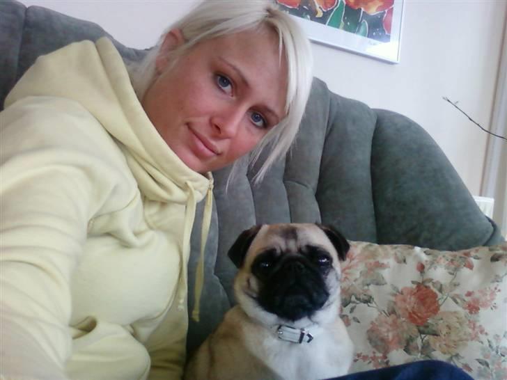 Mops Amy - med min mor på job, hun arbejder med senhjerneskadet.. så vi får snakket en masse, og der falder rigtig meget ned på gulvet til mig fordi de ikk kan modstå mine store brune øjne :-) billede 9