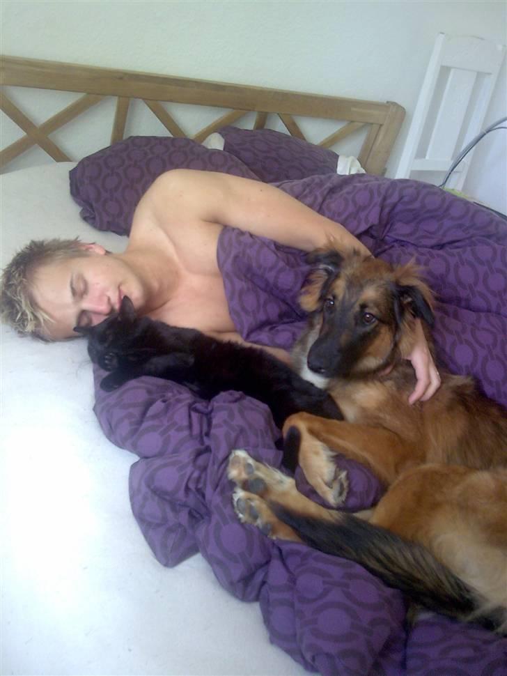 Blanding af racer basse billede 2