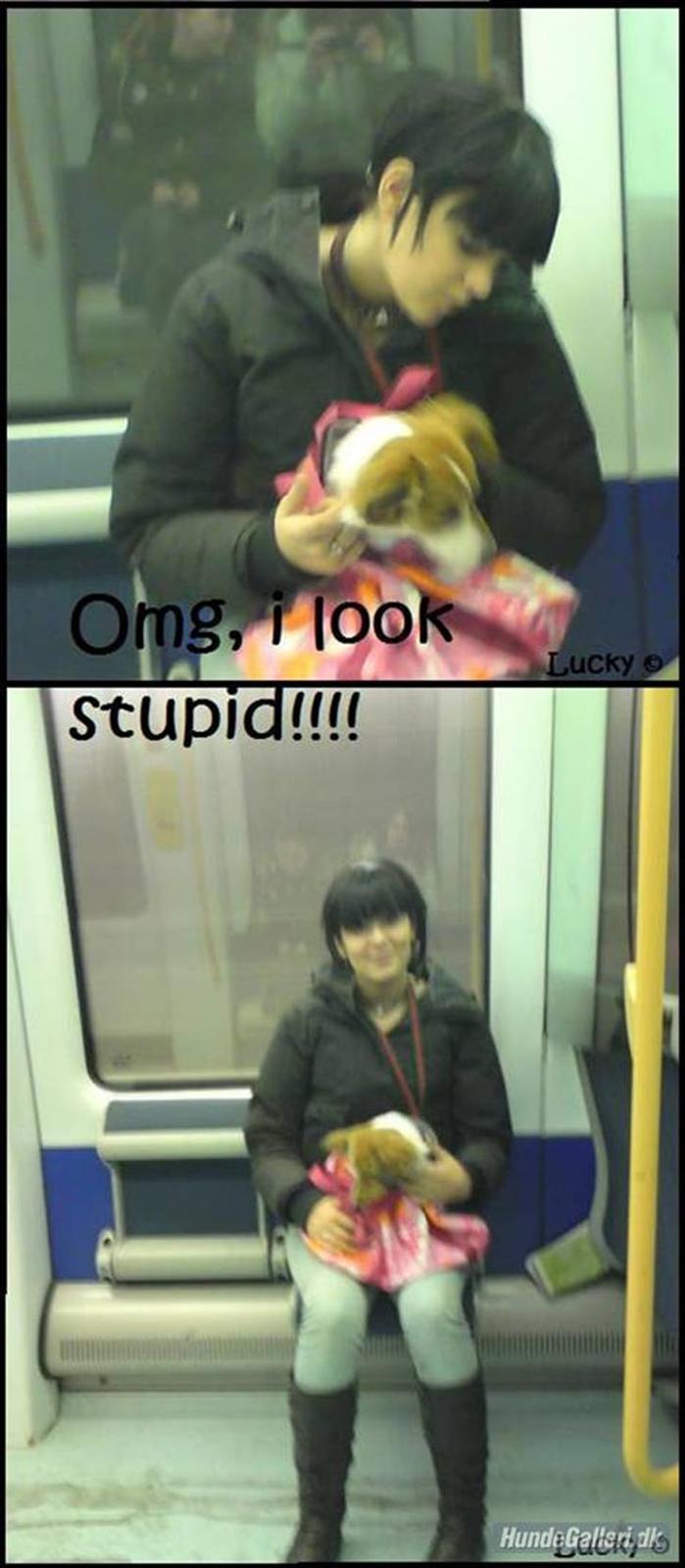 Blanding af racer lucky billede 12