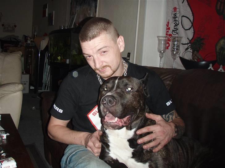 Cane corso obelix - Mig og min far billede 19