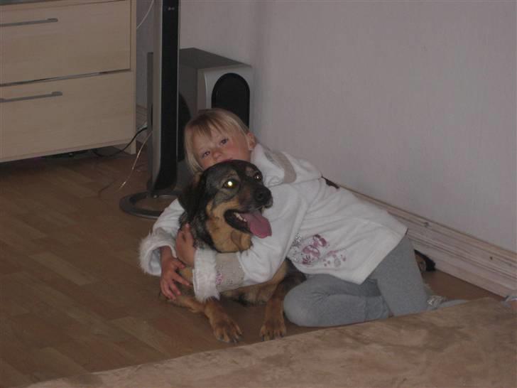 Blanding af racer Asja billede 2