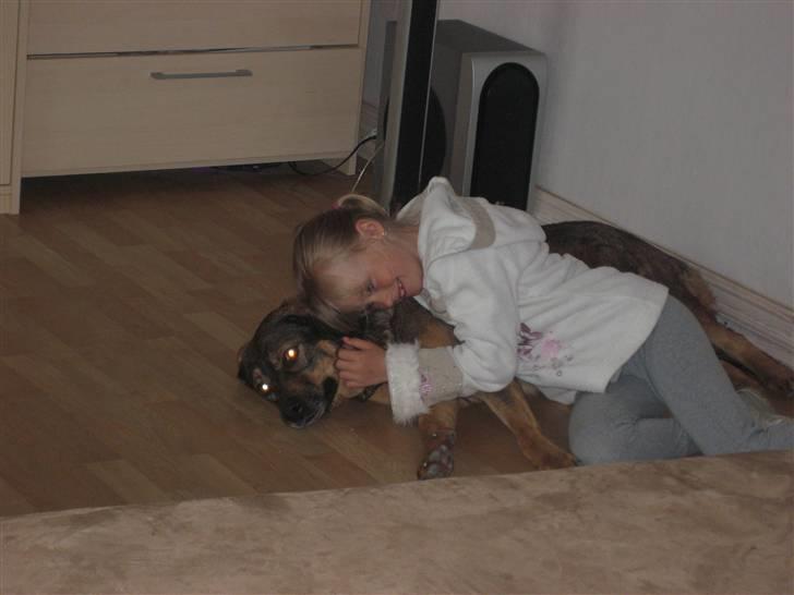 Blanding af racer Asja billede 3