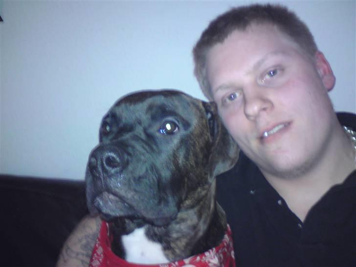 Blanding af racer Satan billede 7