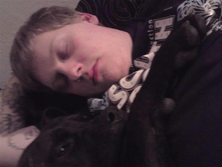 Blanding af racer Satan billede 9