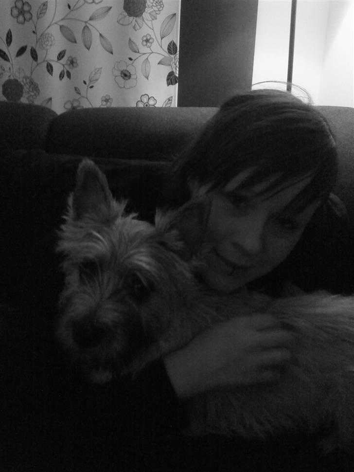 Cairn terrier Molly<3 - Mig & Molly billede 10