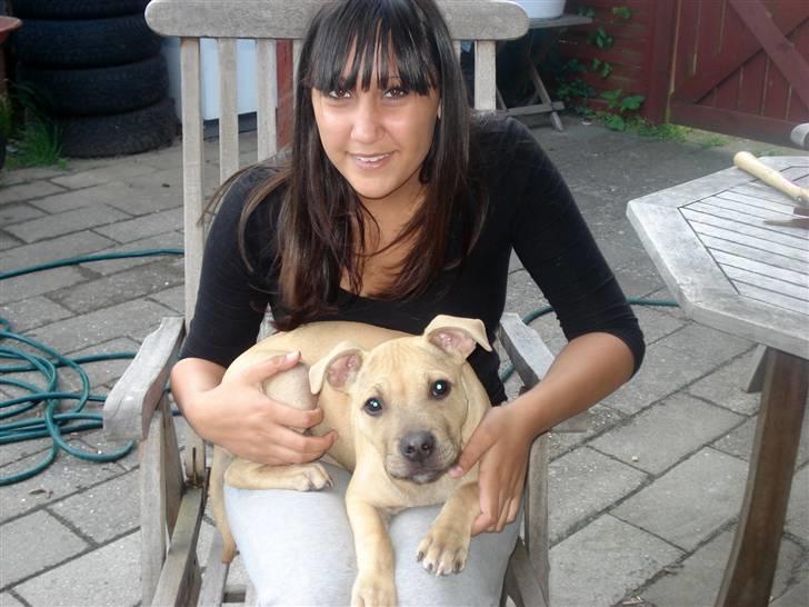 Blanding af racer Joe (himmelhund) - Det er mig og min mor :) Havde lige fået ham :D billede 8