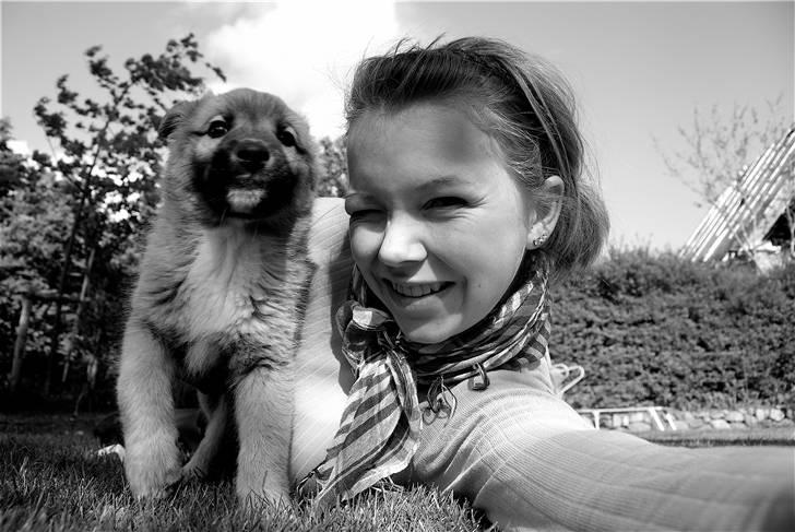 Islandsk fårehund Fala - Fala, 8 uger gammel og ENDELIG kommet hjem til mig og hendes nye hus :) billede 12