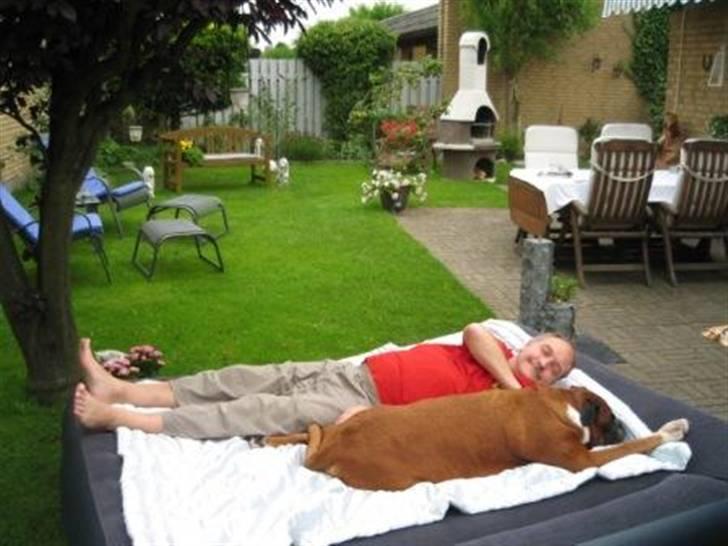 Boxer Roberta *Himmelprinsesse* - Farmand & dig i haven. billede 13