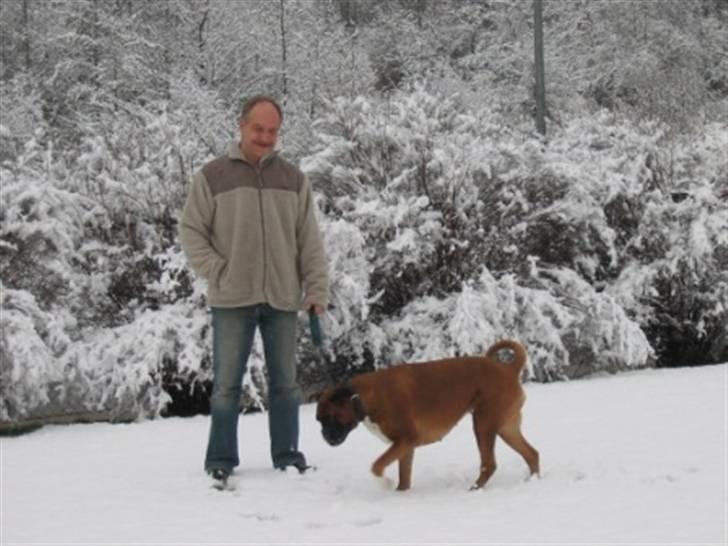 Boxer Roberta *Himmelprinsesse* - Farmand & dig i sneen billede 14