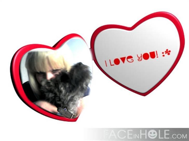 Cairn terrier Whiskey - DET er kærlighed!! <333 billede 4