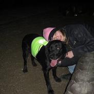 Blanding af racer Chili