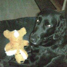 Blanding af racer Zita