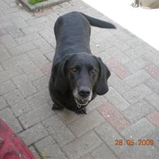 Blanding af racer Mille