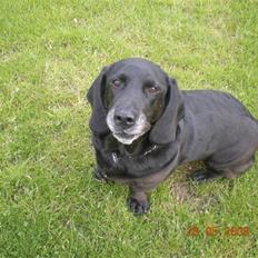 Blanding af racer Mille