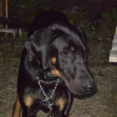 Blanding af racer Tarzan *R.I.P* :'( !