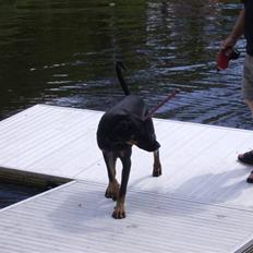 Blanding af racer Tarzan *R.I.P* :'( !