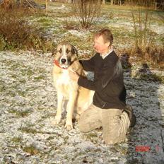 Blanding af racer Walde