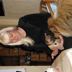 Fransk bulldog Tarzan -r.i.p. 2011