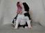 Border collie Succes