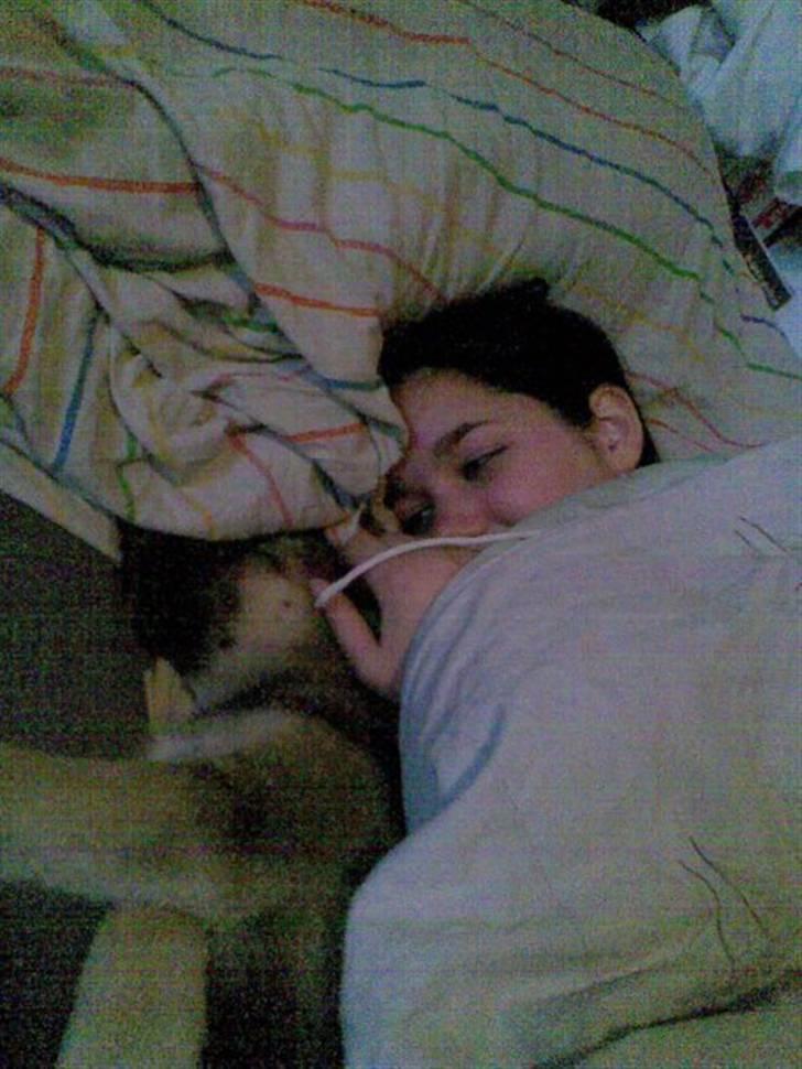 Blanding af racer Fister (Ny hvalp) billede 8