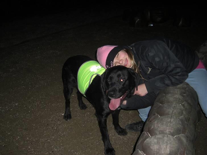 Blanding af racer Chili - Mig der er grim, og hunden :) billede 4