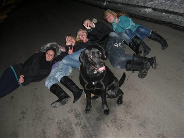 Blanding af racer Chili - chili væltede dem :) bare fordi at jeg bad hende om det. billede 11