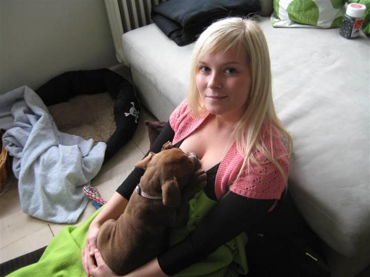 Olde english bulldogge *Mille* - Lidt hygge hos mor billede 14