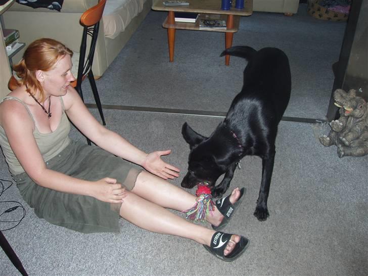 Blanding af racer Nala - Min ny mor. . hun er da dejlig. . :) billede 7