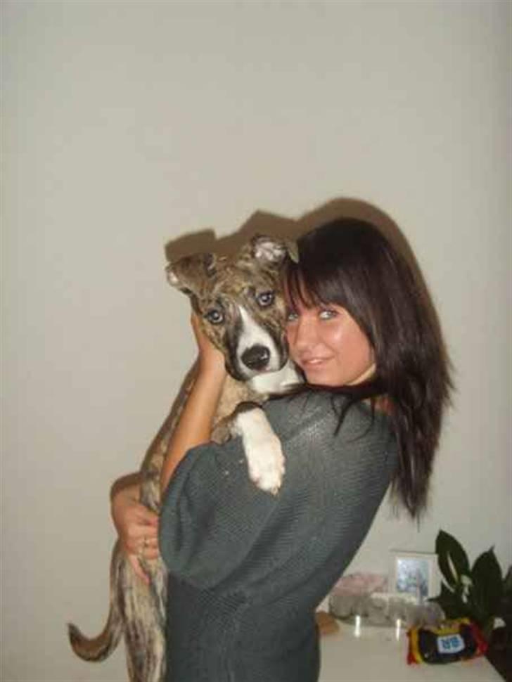 Blanding af racer Chanel billede 2