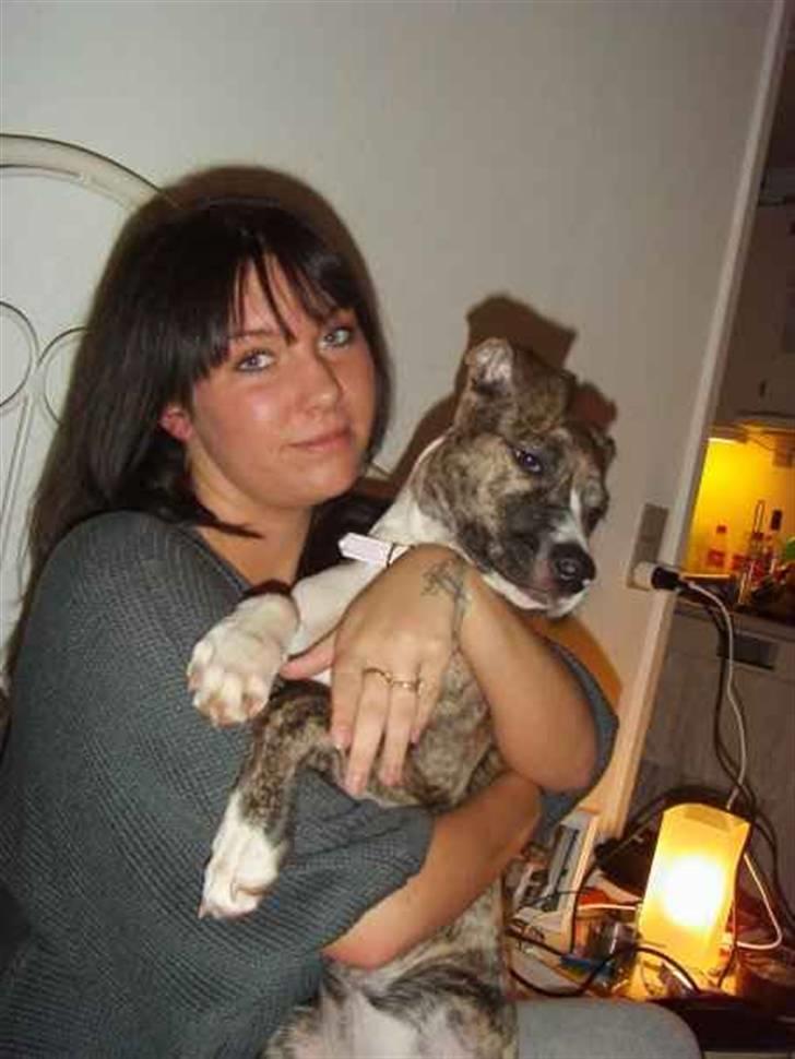 Blanding af racer Chanel billede 3