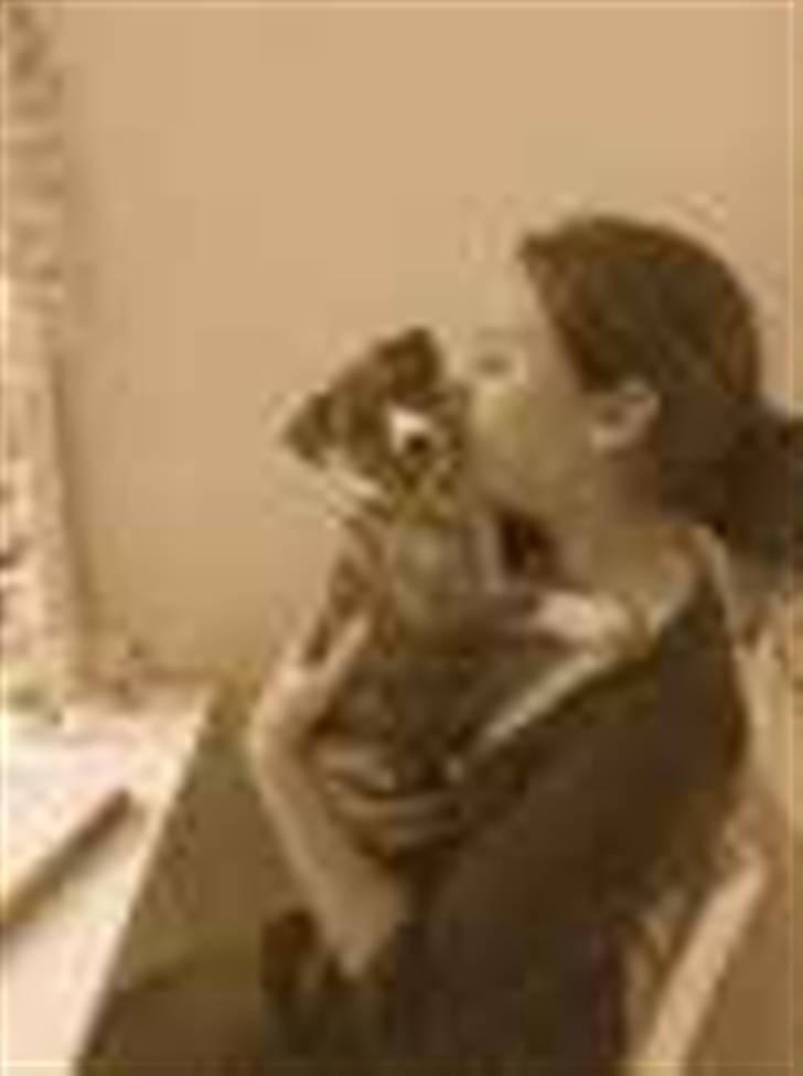 Blanding af racer Chanel billede 4