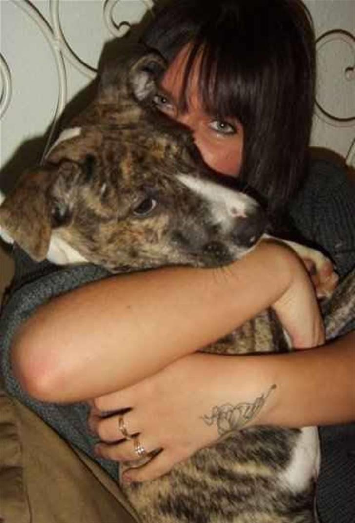 Blanding af racer Chanel billede 7