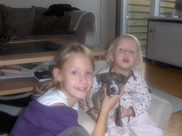 Blanding af racer Chanel billede 8