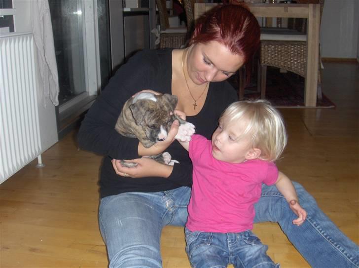 Blanding af racer Chanel billede 11