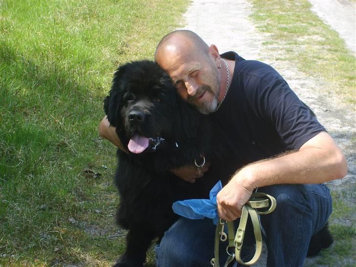 Newfoundlænder Møffe - Tag så det billede ,far er ved at kvæle mig billede 11