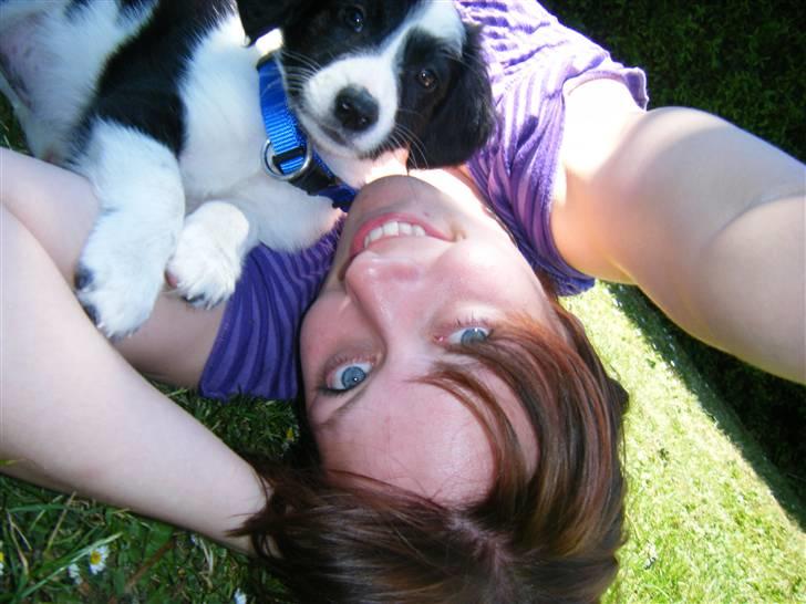 Blanding af racer Lucky billede 14