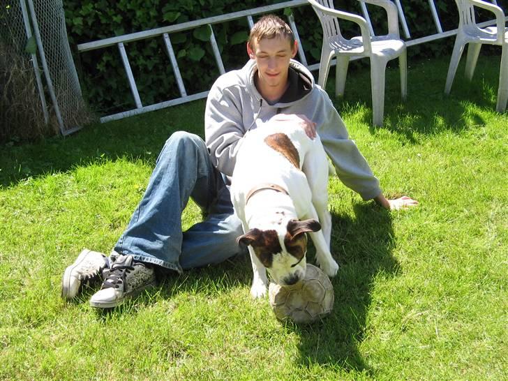 Blanding af racer Chico - "Far og mig en tur på plænen" billede 15