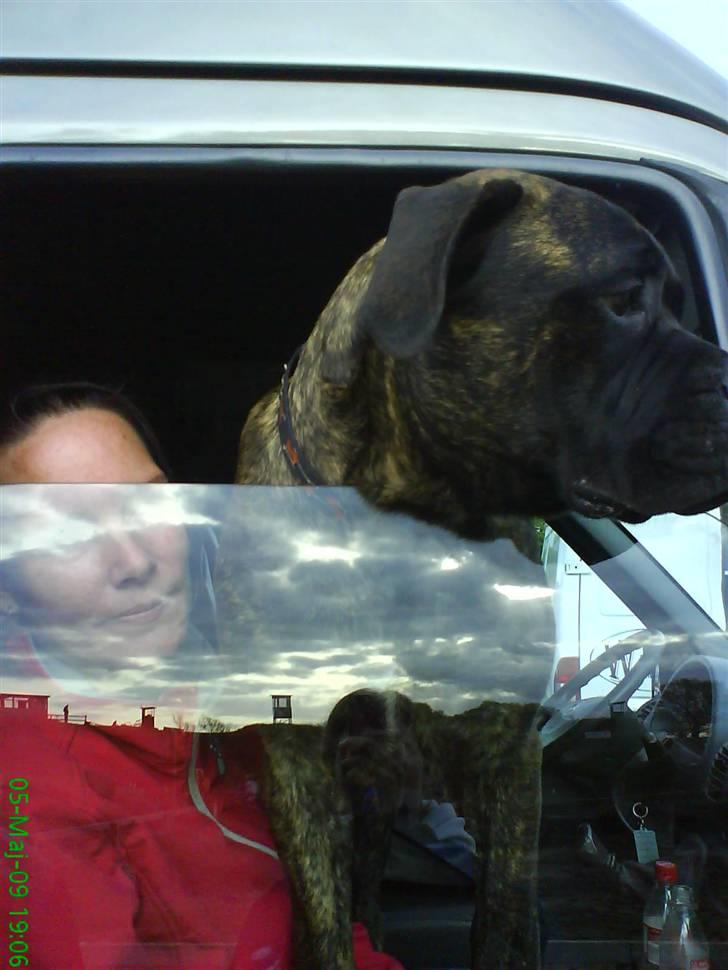 Blanding af racer Harley - JUHUUU... Fik sneget mig med mor i bilen :P billede 7