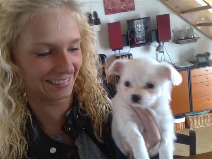 Blanding af racer Tonic Bennet billede 3