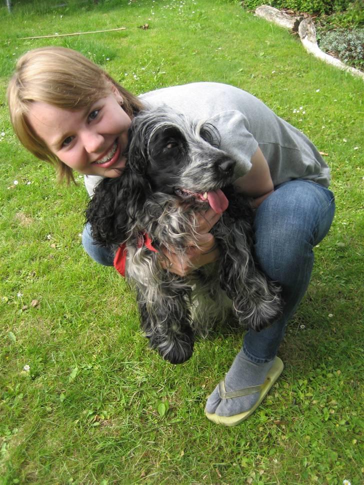 Cocker spaniel Chanel - Chanel og Iben (og de sko jeg har på, er IKKE nogle jeg går i normalt) billede 8