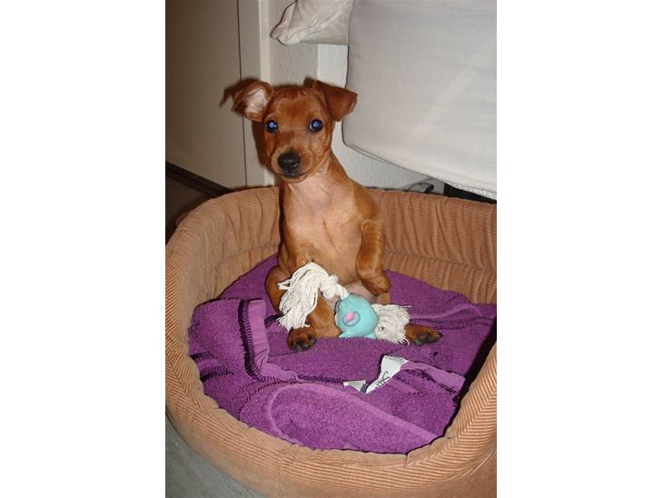 {{currentPhoto.altText}} billede {{currentPhoto.number}}